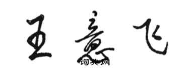 駱恆光王意飛行書個性簽名怎么寫