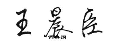 駱恆光王晨臣行書個性簽名怎么寫