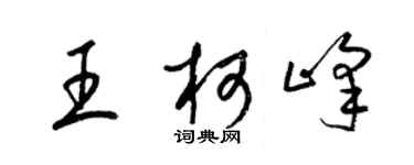 梁錦英王柯峰草書個性簽名怎么寫