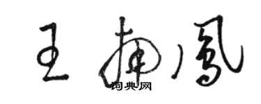 駱恆光王南鳳草書個性簽名怎么寫