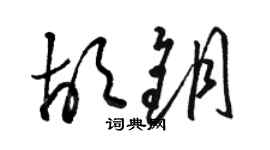 駱恆光胡鑰草書個性簽名怎么寫