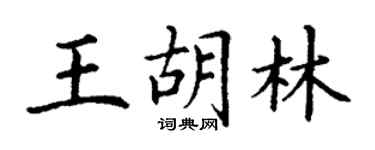丁謙王胡林楷書個性簽名怎么寫