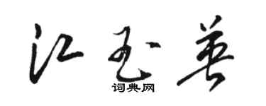 駱恆光江玉英草書個性簽名怎么寫