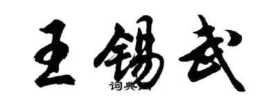 胡問遂王錫武行書個性簽名怎么寫