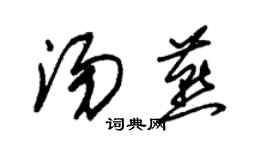 朱錫榮湯燕草書個性簽名怎么寫