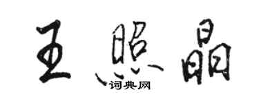 駱恆光王照晶行書個性簽名怎么寫