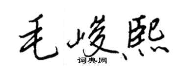 王正良毛峻熙行書個性簽名怎么寫