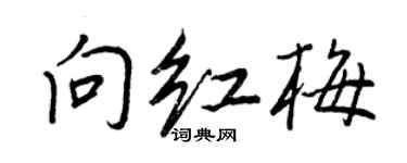 王正良向紅梅行書個性簽名怎么寫