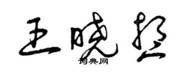 曾慶福王曉想草書個性簽名怎么寫