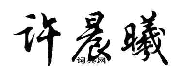 胡問遂許晨曦行書個性簽名怎么寫