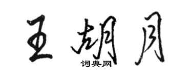 駱恆光王胡月行書個性簽名怎么寫