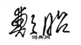 駱恆光鄭昭草書個性簽名怎么寫