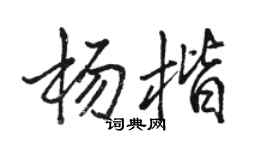 駱恆光楊楷行書個性簽名怎么寫