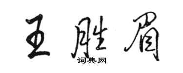 駱恆光王勝眉行書個性簽名怎么寫