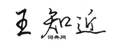 駱恆光王知近行書個性簽名怎么寫
