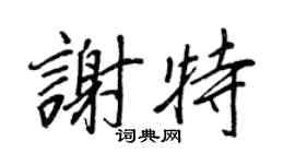 王正良謝特行書個性簽名怎么寫
