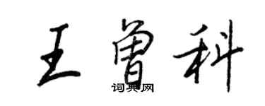 王正良王曾科行書個性簽名怎么寫