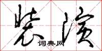 曾慶福裝演草書怎么寫