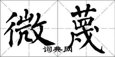 翁闓運微蔑楷書怎么寫