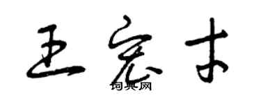 曾慶福王宏才草書個性簽名怎么寫