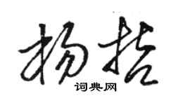 駱恆光楊哲草書個性簽名怎么寫