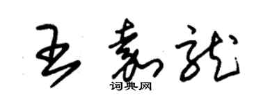 朱錫榮王嘉龍草書個性簽名怎么寫