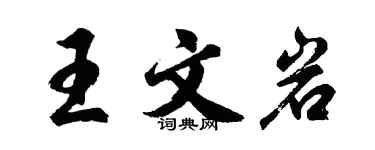 胡問遂王文岩行書個性簽名怎么寫