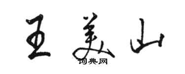 駱恆光王美山行書個性簽名怎么寫