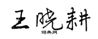 曾慶福王曉耕行書個性簽名怎么寫