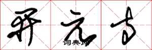 朱錫榮開元寺草書怎么寫