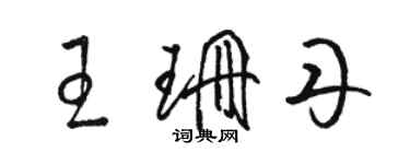 駱恆光王珊丹草書個性簽名怎么寫