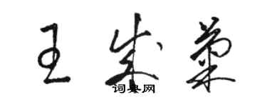 駱恆光王成菊草書個性簽名怎么寫