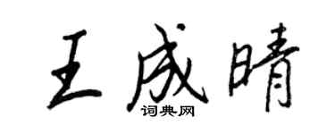 王正良王成晴行書個性簽名怎么寫