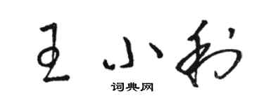 駱恆光王小利草書個性簽名怎么寫