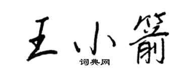 王正良王小箭行書個性簽名怎么寫