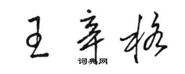 駱恆光王辛格草書個性簽名怎么寫