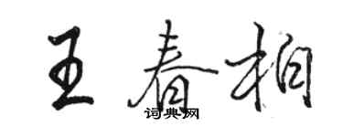 駱恆光王春柏行書個性簽名怎么寫