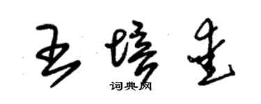 朱錫榮王培愛草書個性簽名怎么寫