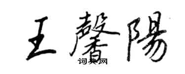 王正良王馨陽行書個性簽名怎么寫