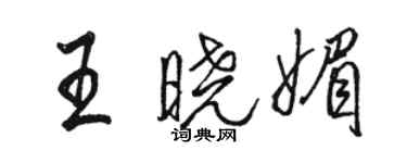 駱恆光王曉媚行書個性簽名怎么寫