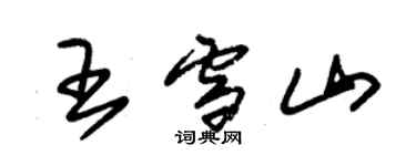 朱錫榮王雪山草書個性簽名怎么寫