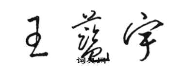 駱恆光王藍宇草書個性簽名怎么寫