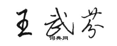 駱恆光王武芬行書個性簽名怎么寫