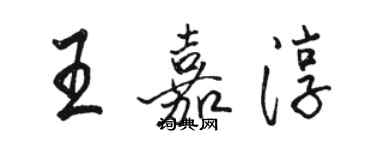 駱恆光王嘉淳行書個性簽名怎么寫