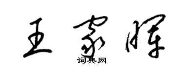 梁錦英王家暉草書個性簽名怎么寫