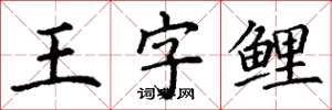 丁謙王字鯉楷書怎么寫