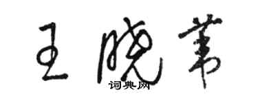 駱恆光王曉葦草書個性簽名怎么寫