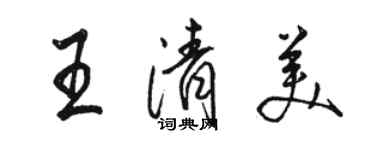 駱恆光王清美行書個性簽名怎么寫