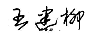朱錫榮王建柳草書個性簽名怎么寫