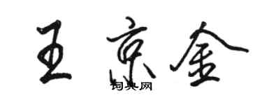 駱恆光王京金行書個性簽名怎么寫